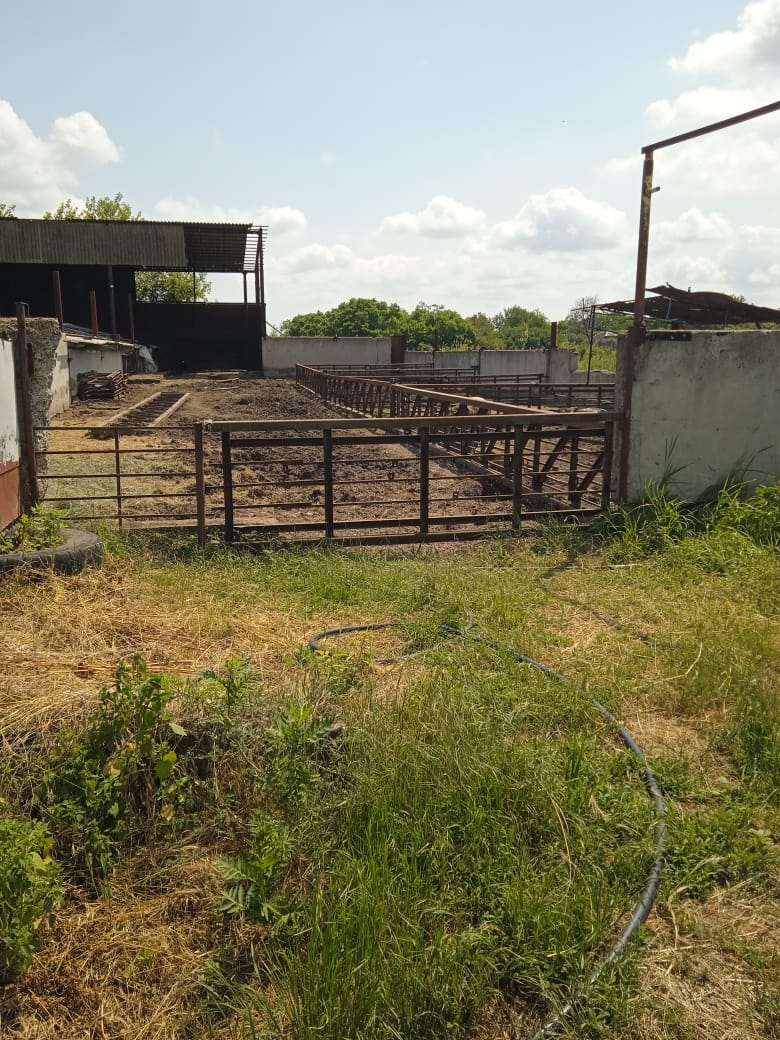 Продается гектар земли под ведение фермерского хозяйства в хуторе Бутенки